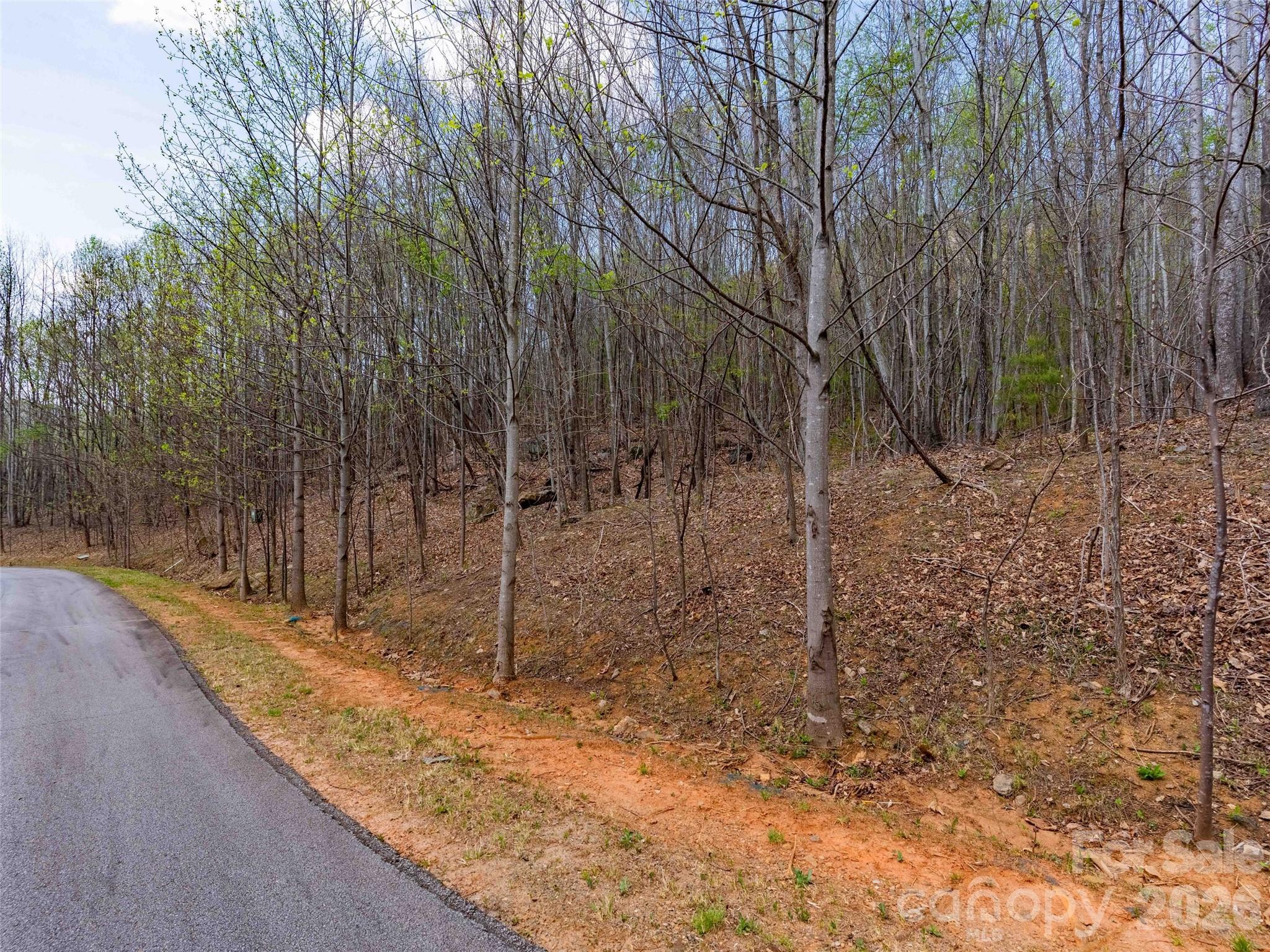 Lot 196 Cherry Hill Mill Spring NC 28756