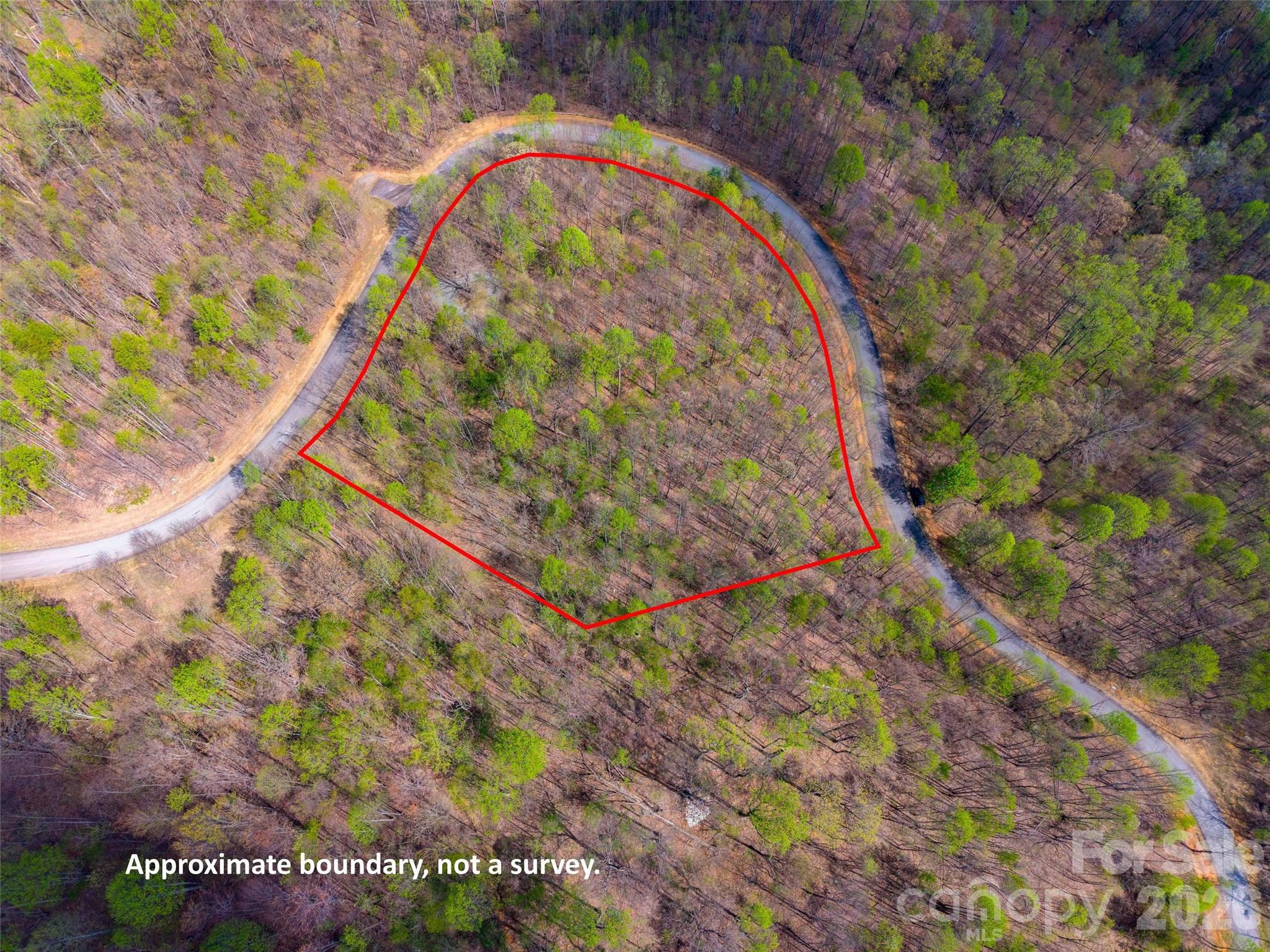 Lot 196 Cherry Hill Mill Spring NC 28756