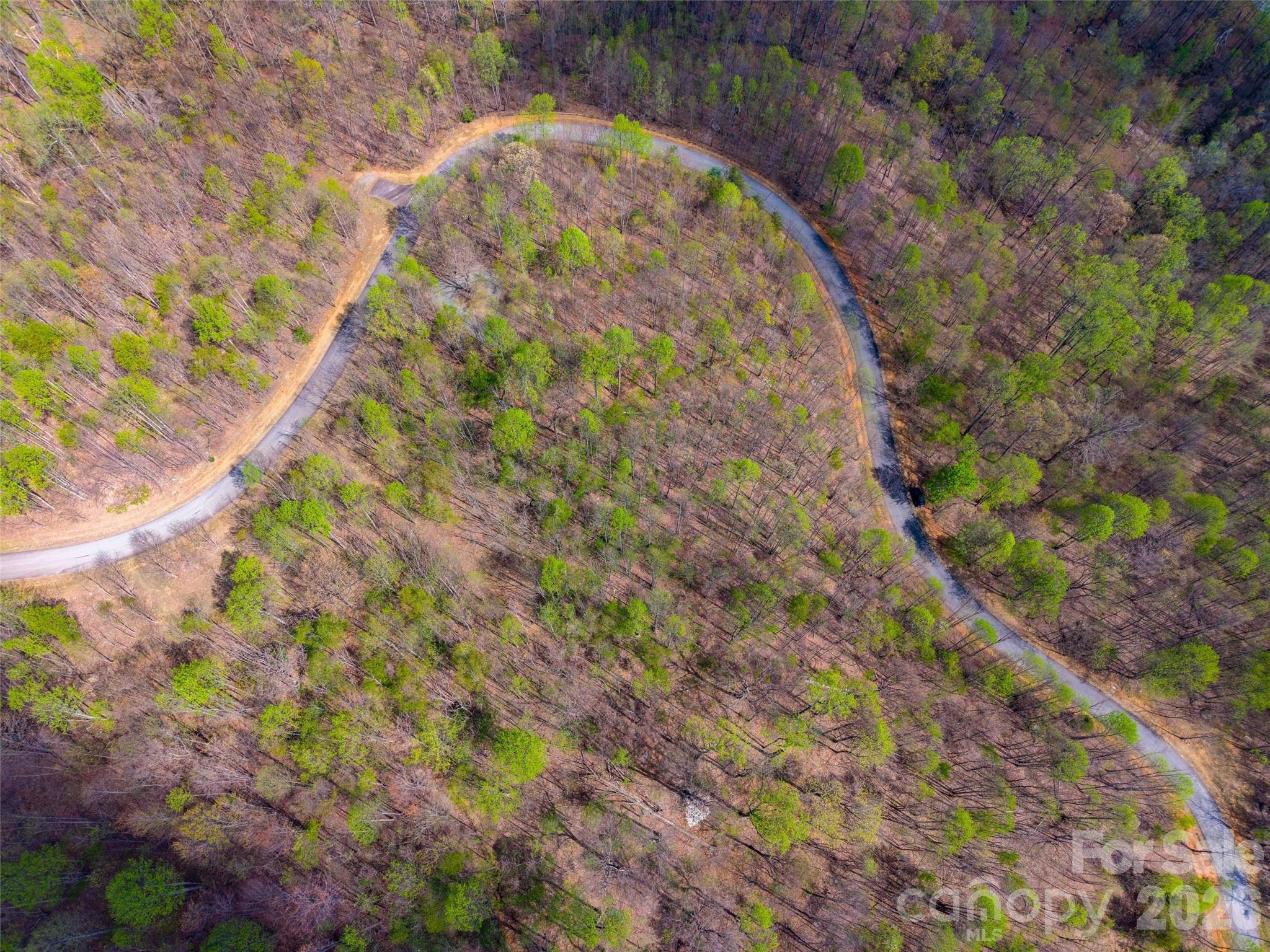 Lot 196 Cherry Hill Mill Spring NC 28756