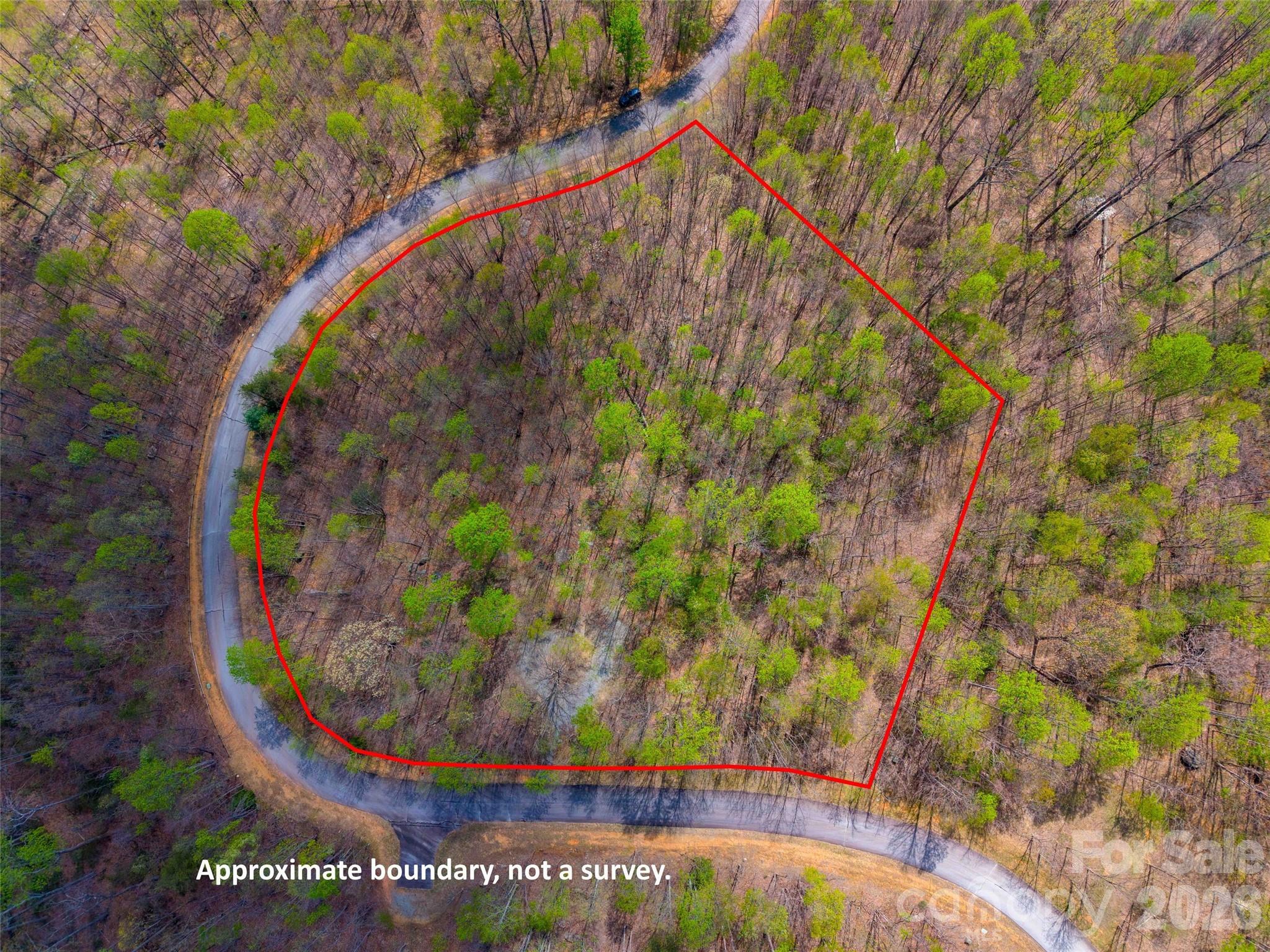 Lot 196 Cherry Hill Mill Spring NC 28756