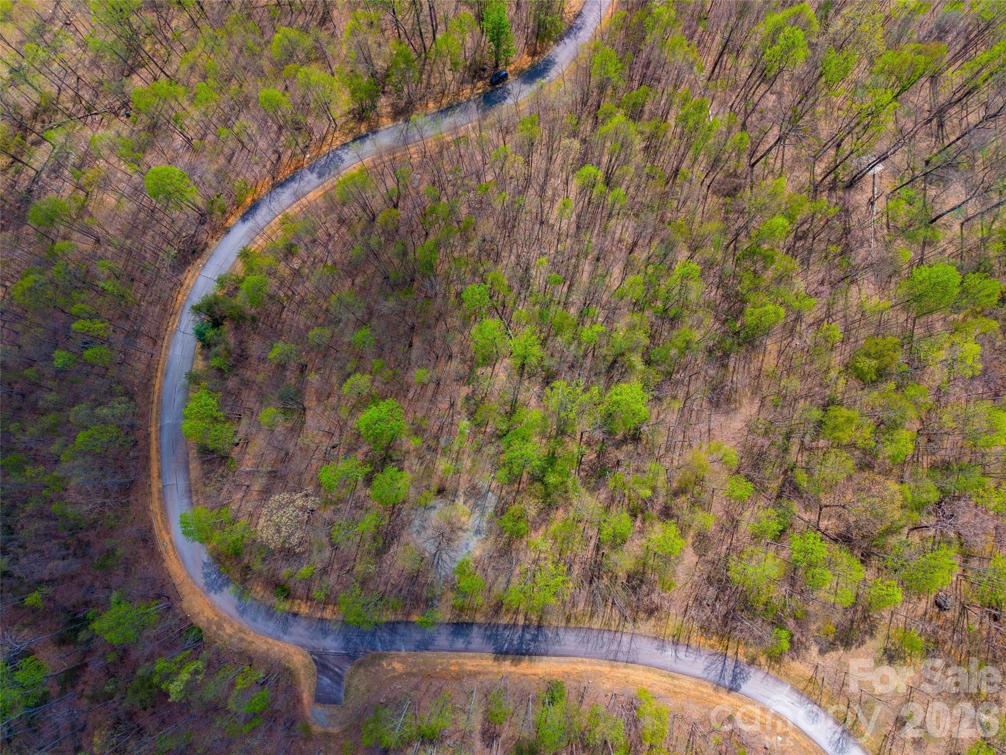 Lot 196 Cherry Hill Mill Spring NC 28756