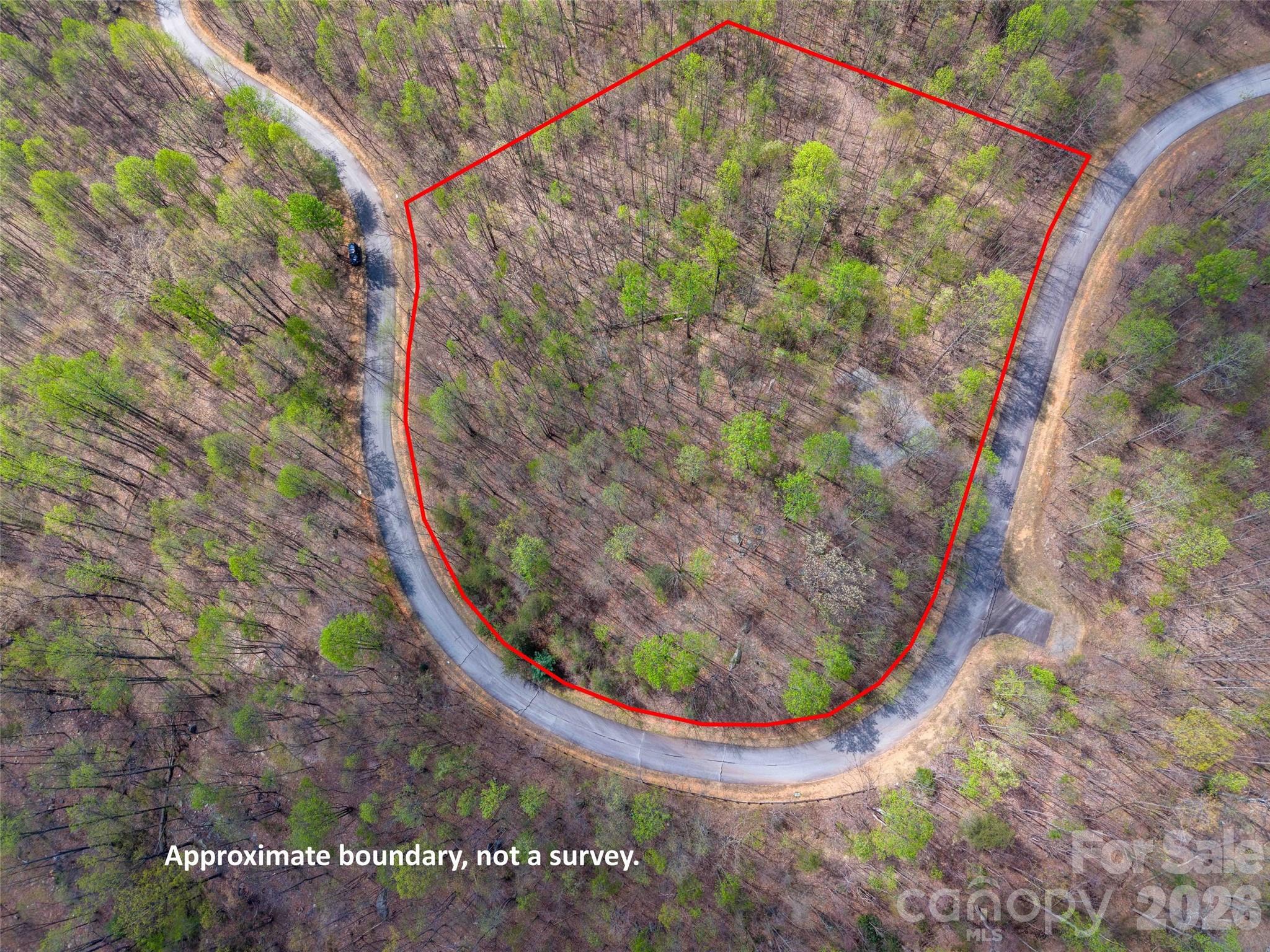 Lot 196 Cherry Hill Mill Spring NC 28756