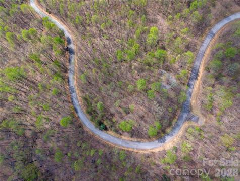 Lot 196 Cherry Hill Mill Spring NC 28756
