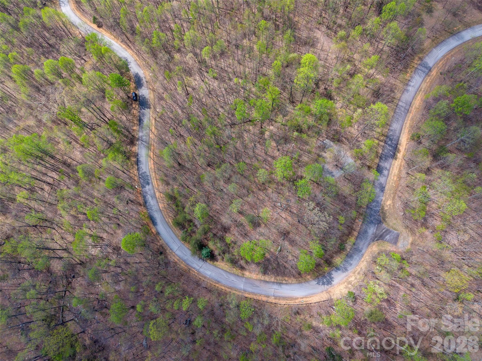 Lot 196 Cherry Hill Mill Spring NC 28756