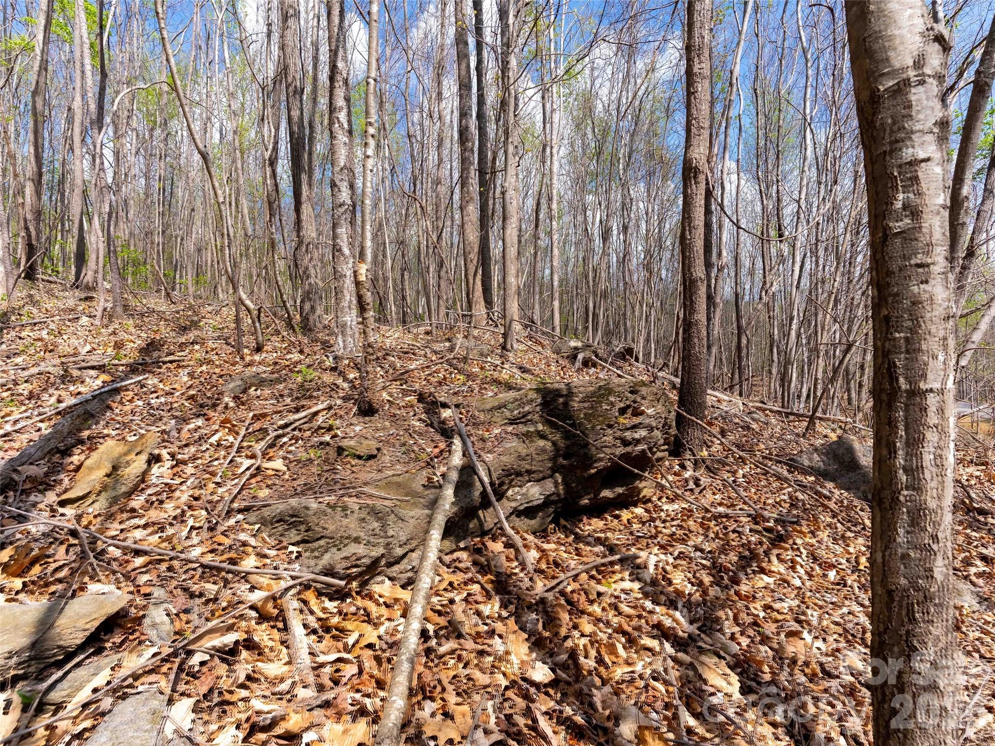 Lot 196 Cherry Hill Mill Spring NC 28756