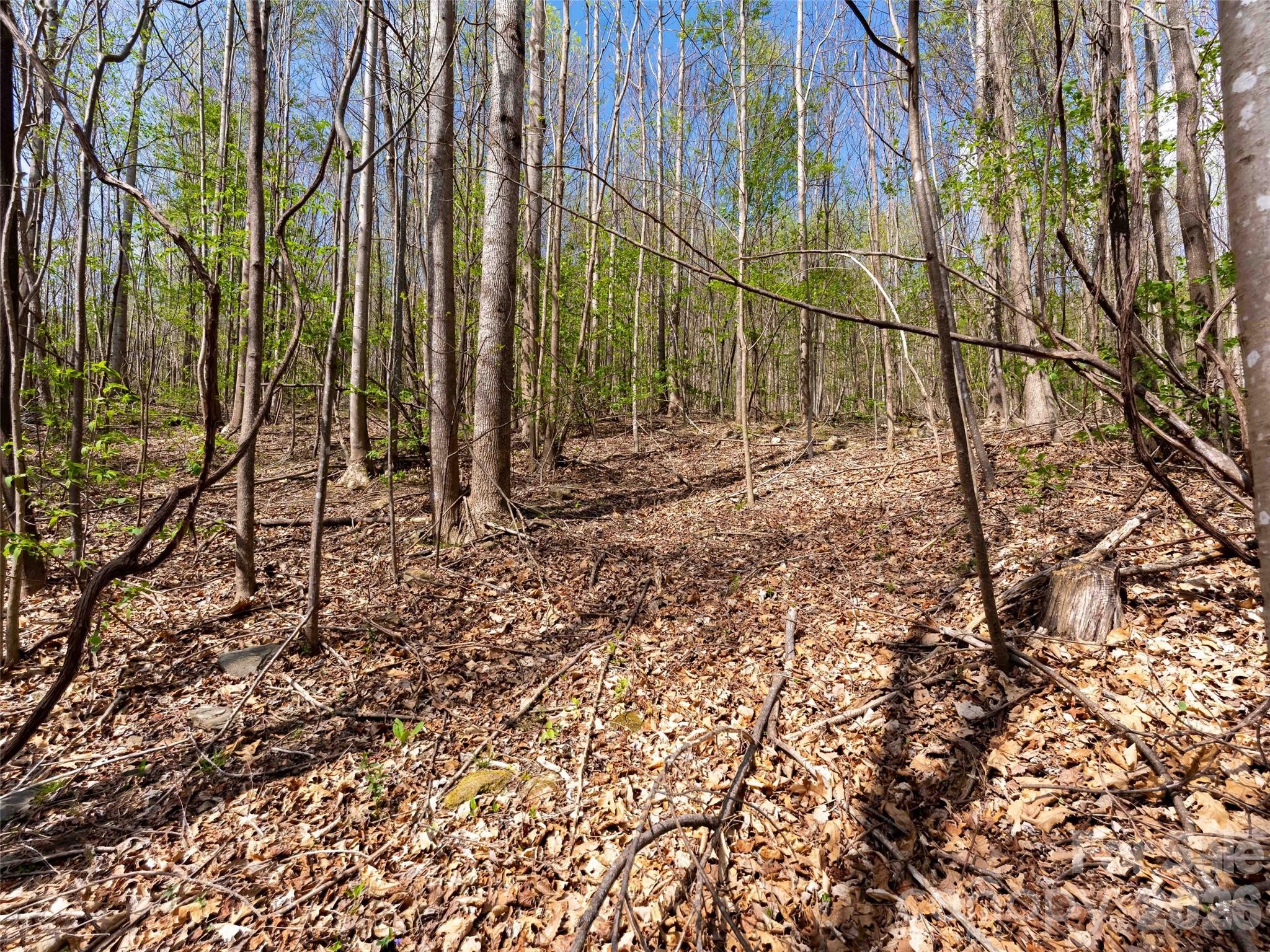 Lot 196 Cherry Hill Mill Spring NC 28756