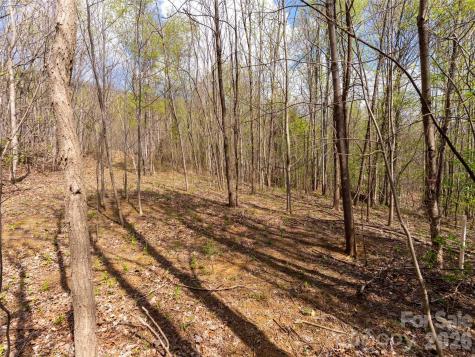 Lot 196 Cherry Hill Mill Spring NC 28756