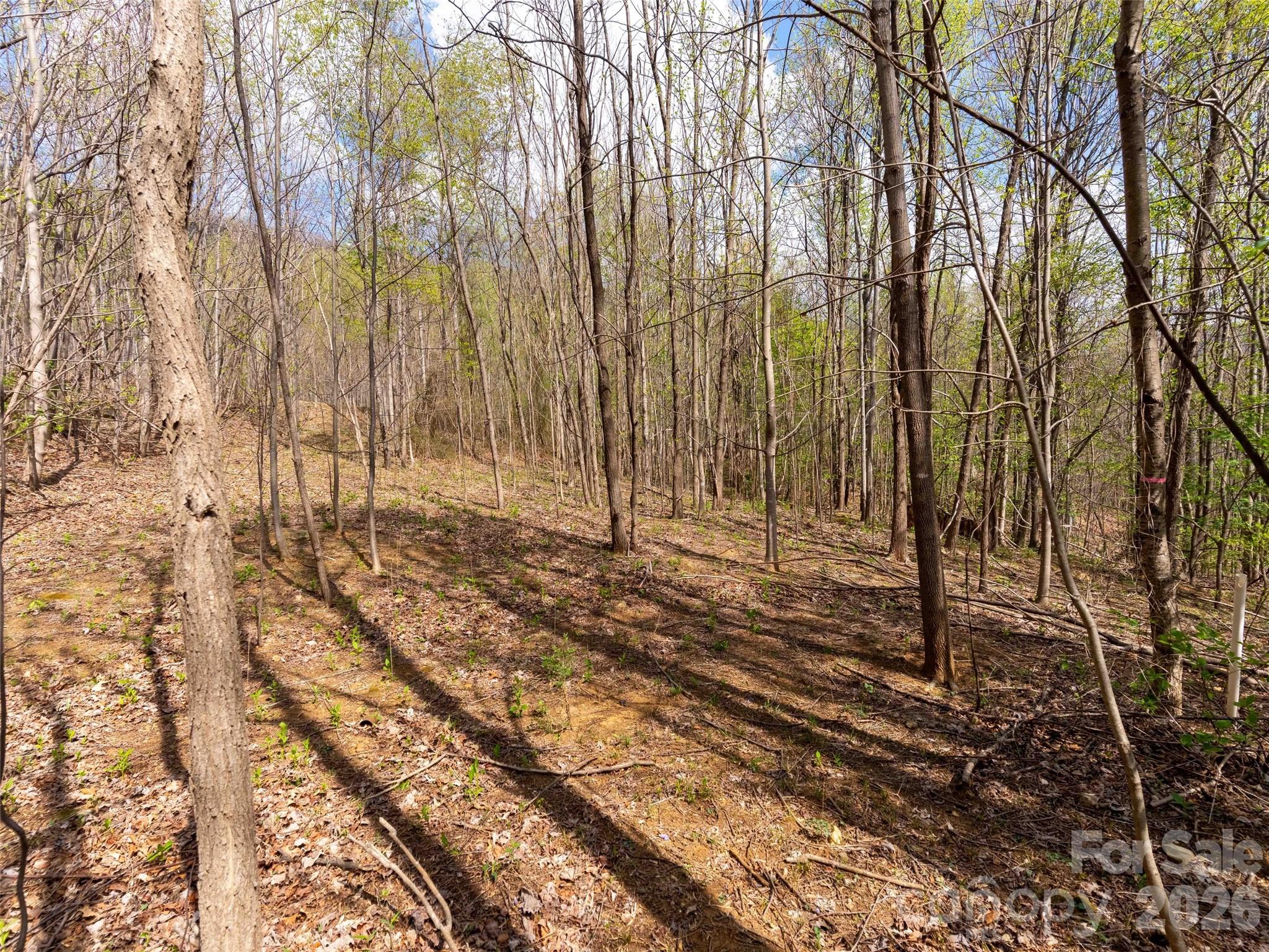 Lot 196 Cherry Hill Mill Spring NC 28756