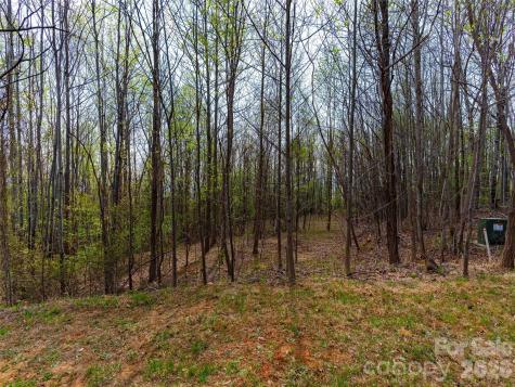 Lot 196 Cherry Hill Mill Spring NC 28756