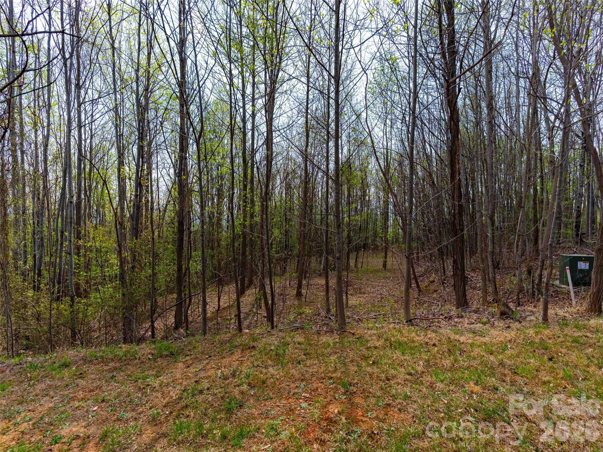 Lot 196 Cherry Hill Mill Spring NC 28756
