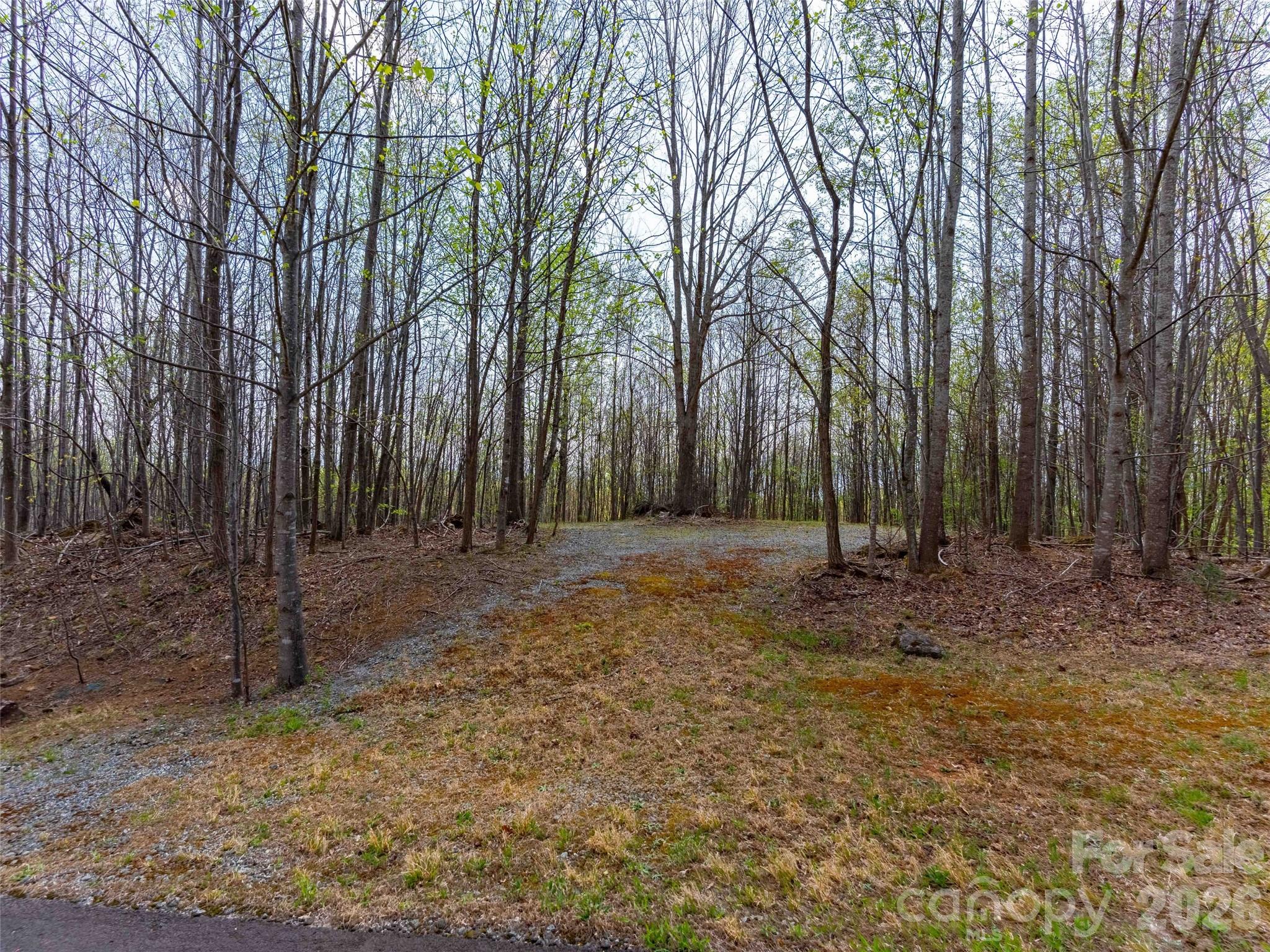 Lot 196 Cherry Hill Mill Spring NC 28756