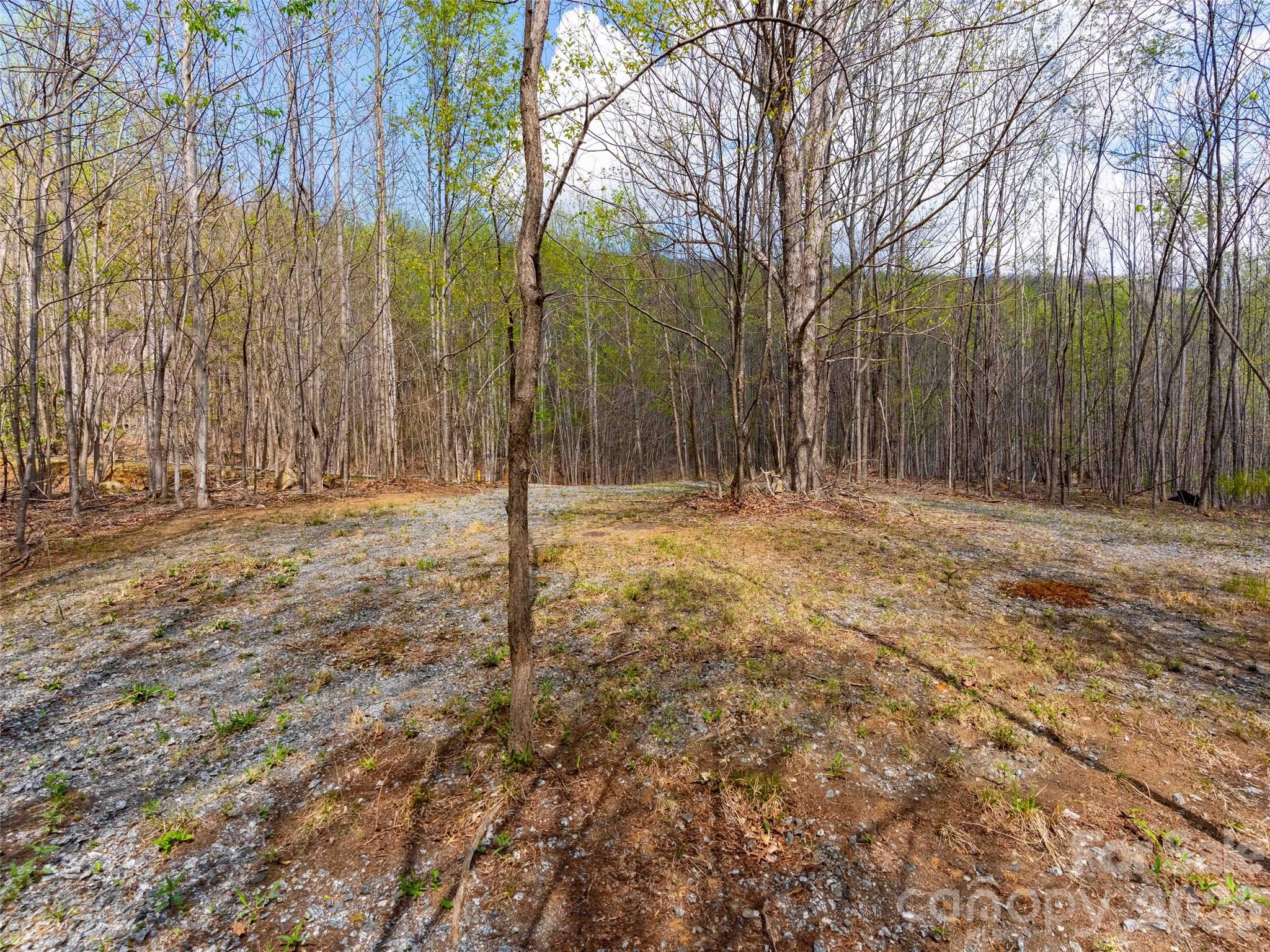 Lot 196 Cherry Hill Mill Spring NC 28756