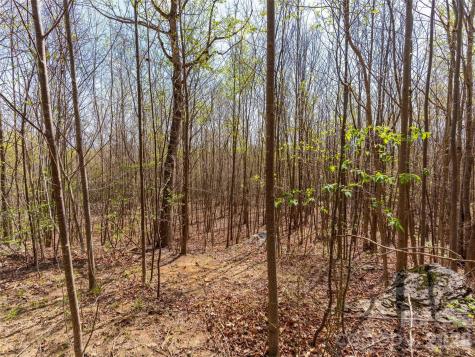 Lot 196 Cherry Hill Mill Spring NC 28756