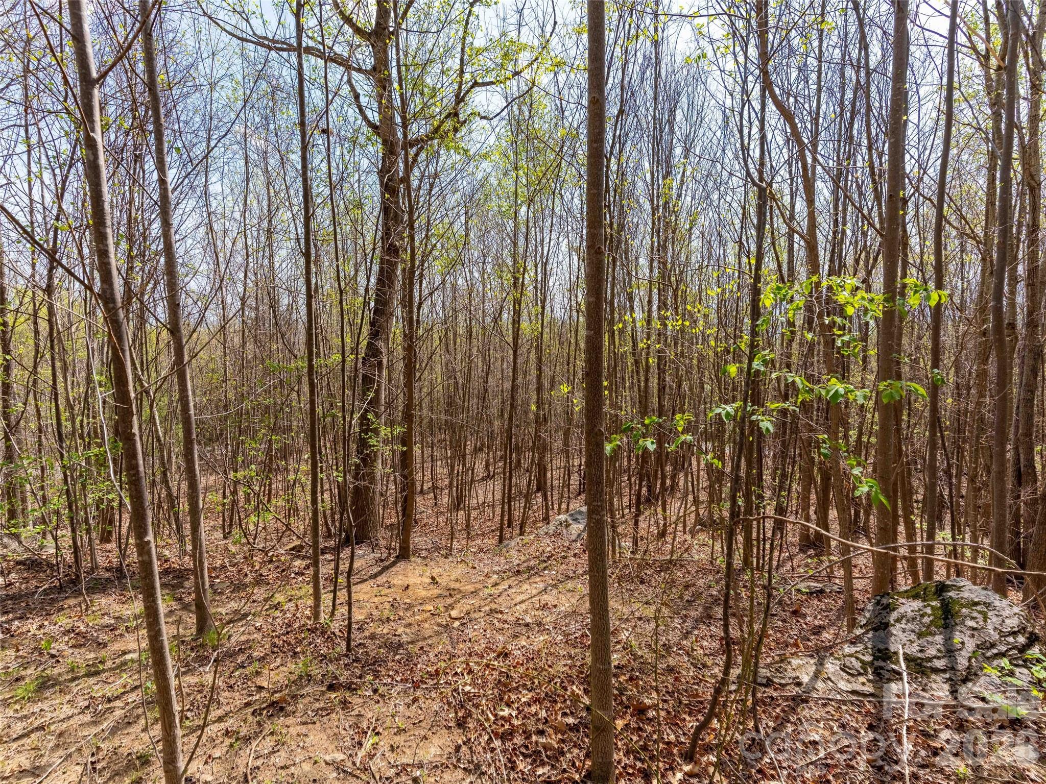 Lot 196 Cherry Hill Mill Spring NC 28756