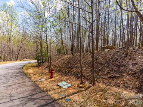 Lot 196 Cherry Hill Mill Spring NC 28756