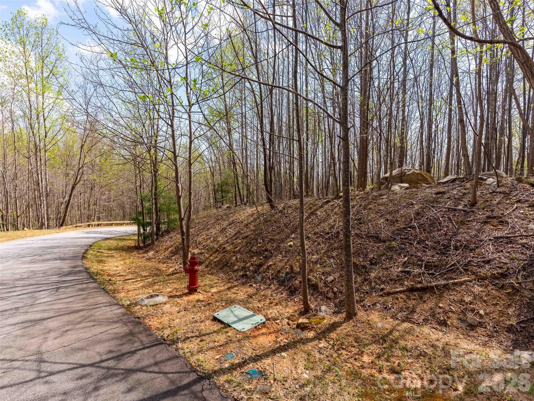Lot 196 Cherry Hill Mill Spring NC 28756