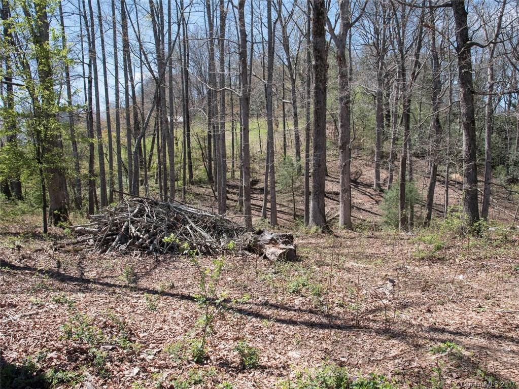 197 Lone Oak Drive Mills River NC 28759