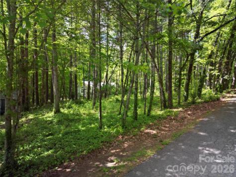 164 Country Lane Brevard NC 28712