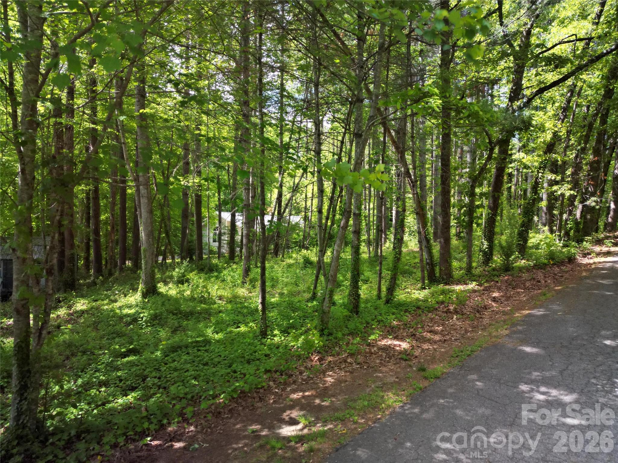164 Country Lane Brevard NC 28712