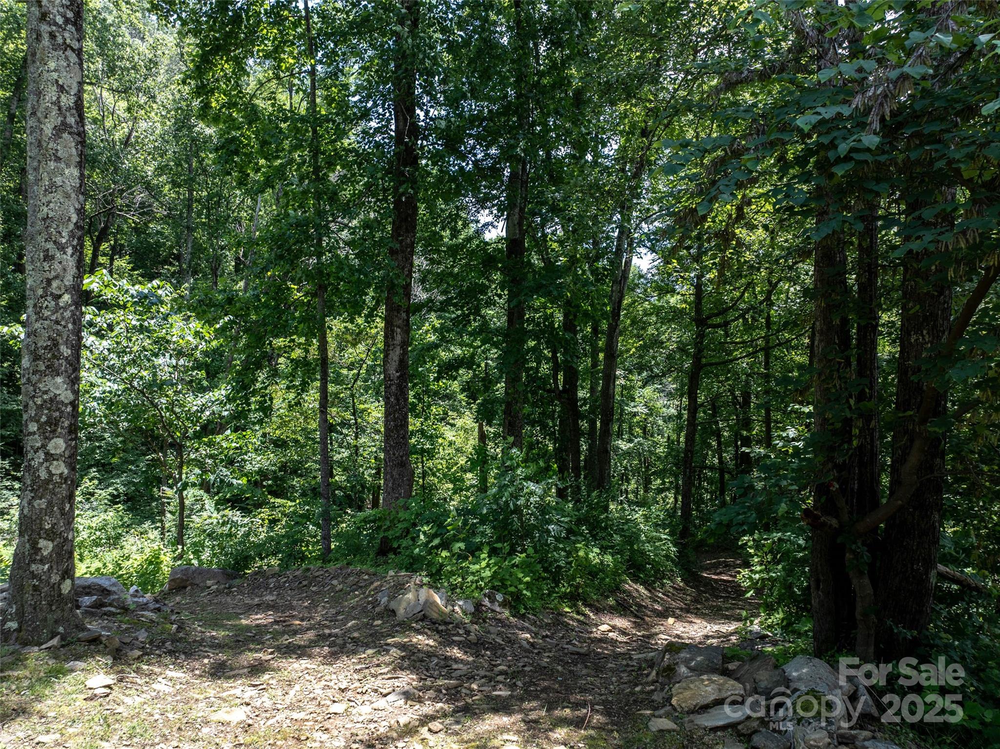 0 Doubleview Drive Union Mills NC 28167