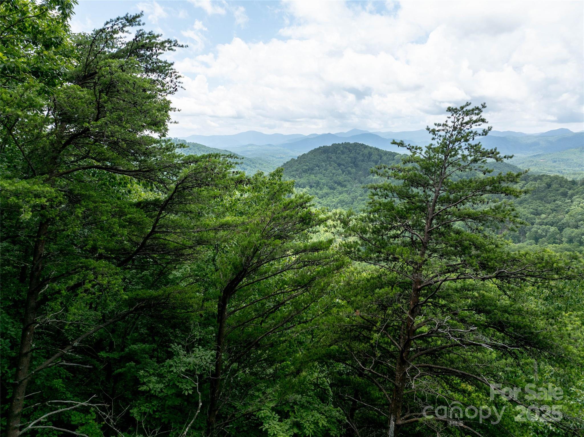 0 Doubleview Drive Union Mills NC 28167