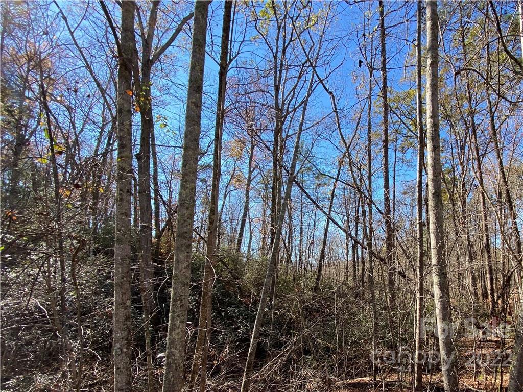 275 Shannons Walk Lake Lure NC 28746