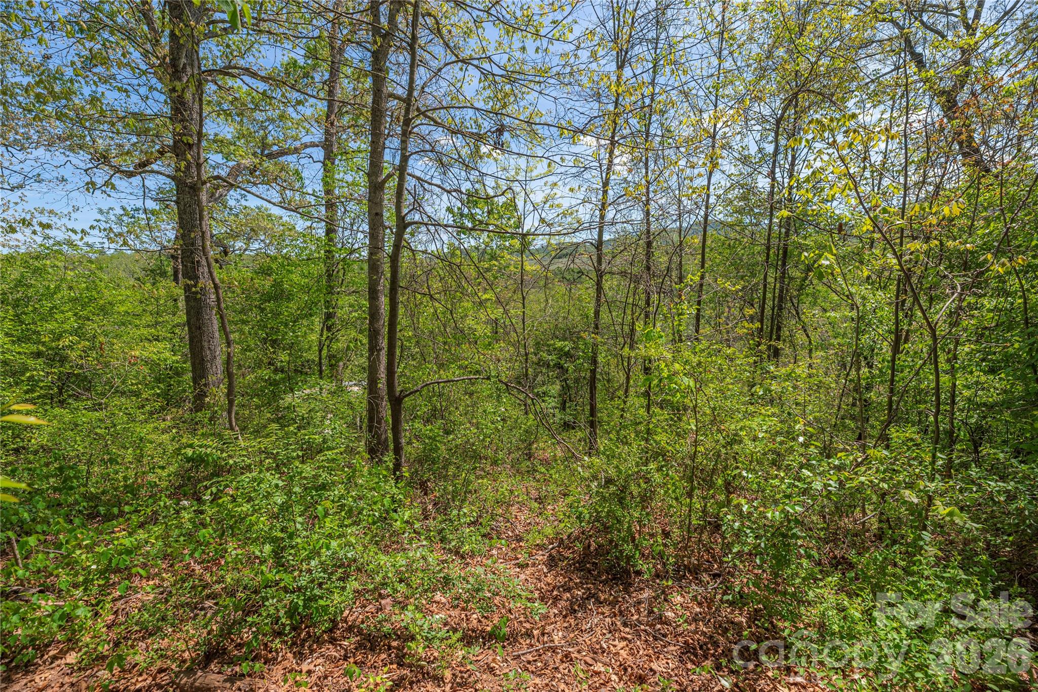 99999 Morse Drive Asheville NC 28806