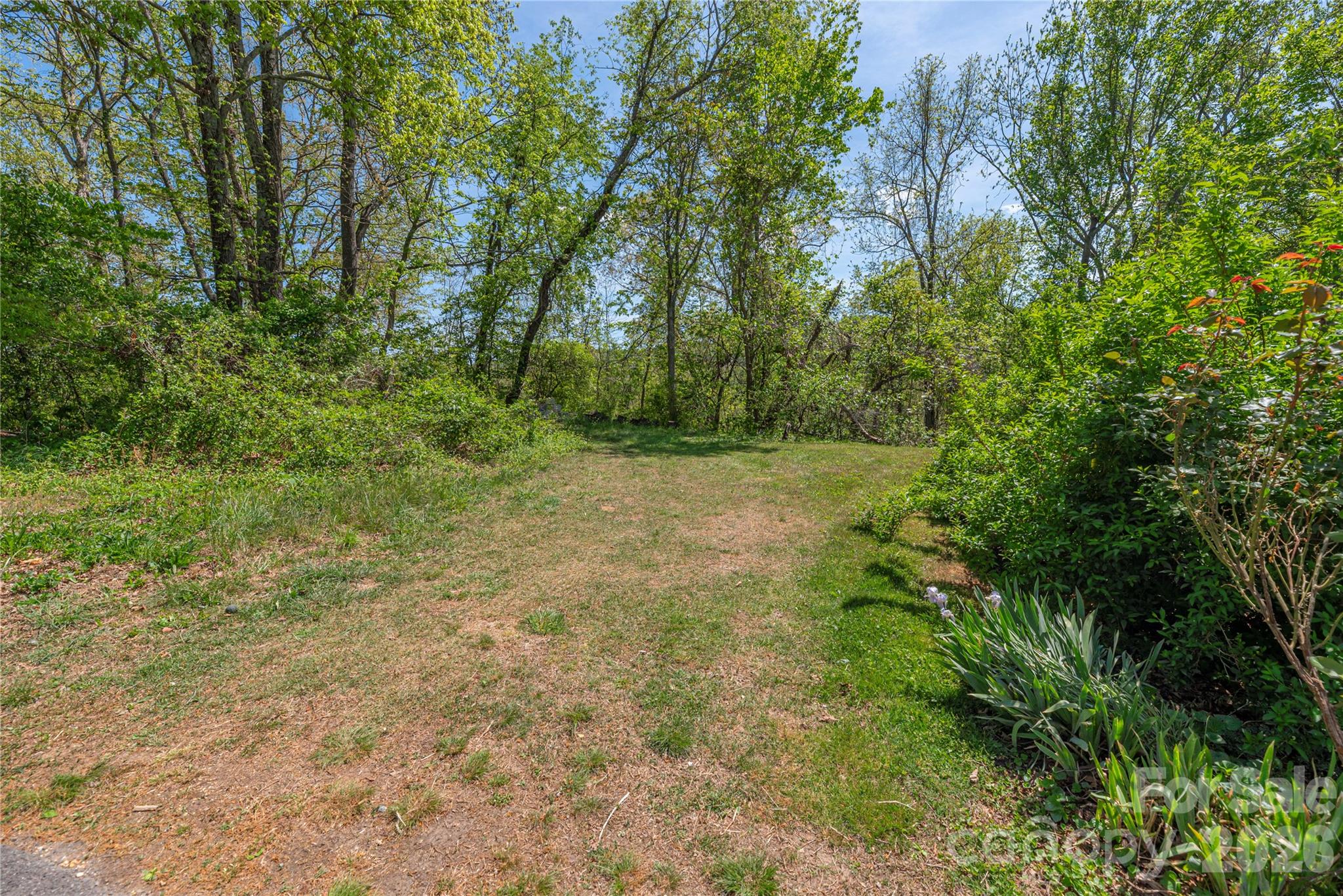 99999 Morse Drive Asheville NC 28806
