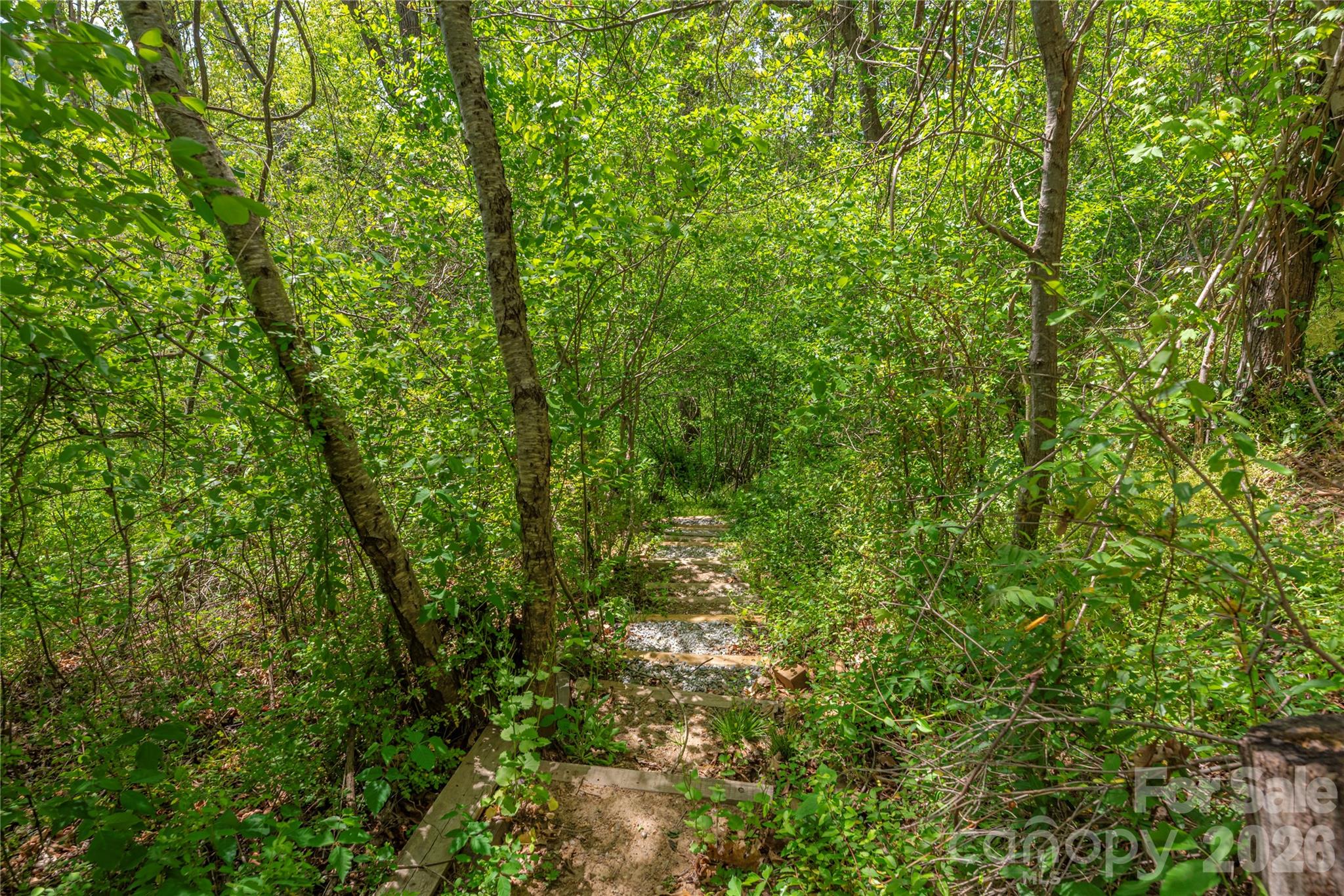 99999 Morse Drive Asheville NC 28806