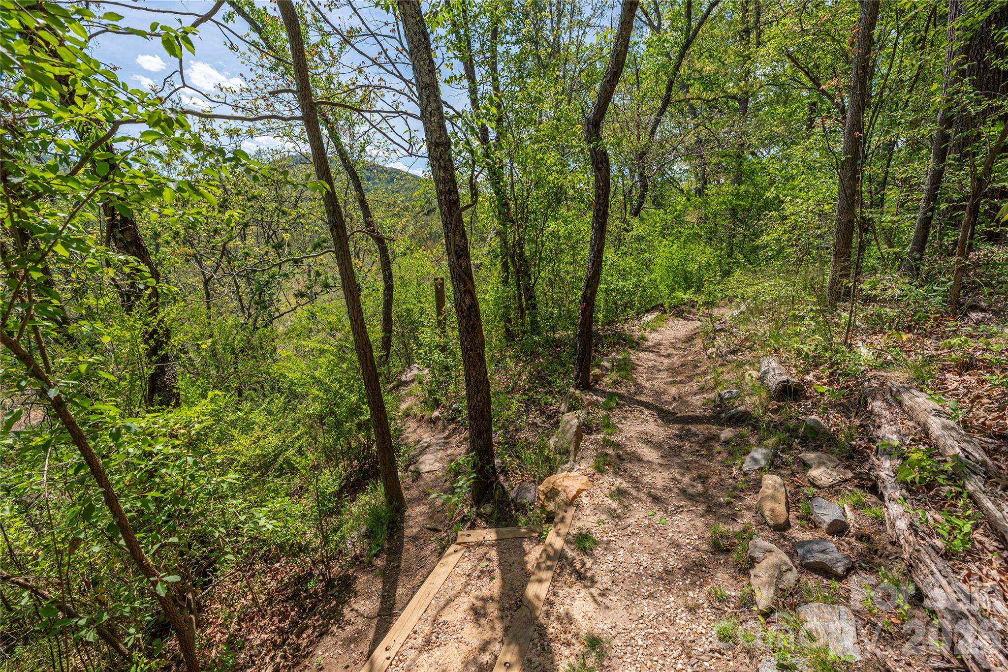 99999 Morse Drive Asheville NC 28806