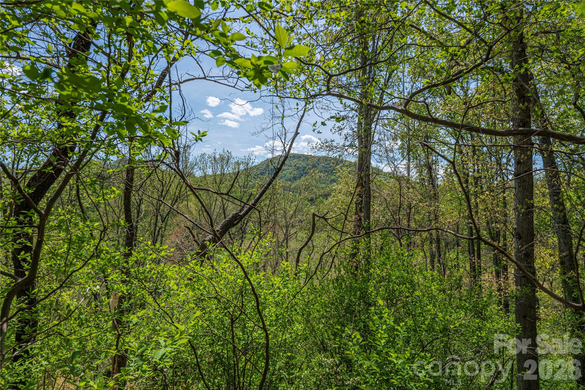 99999 Morse Drive Asheville NC 28806