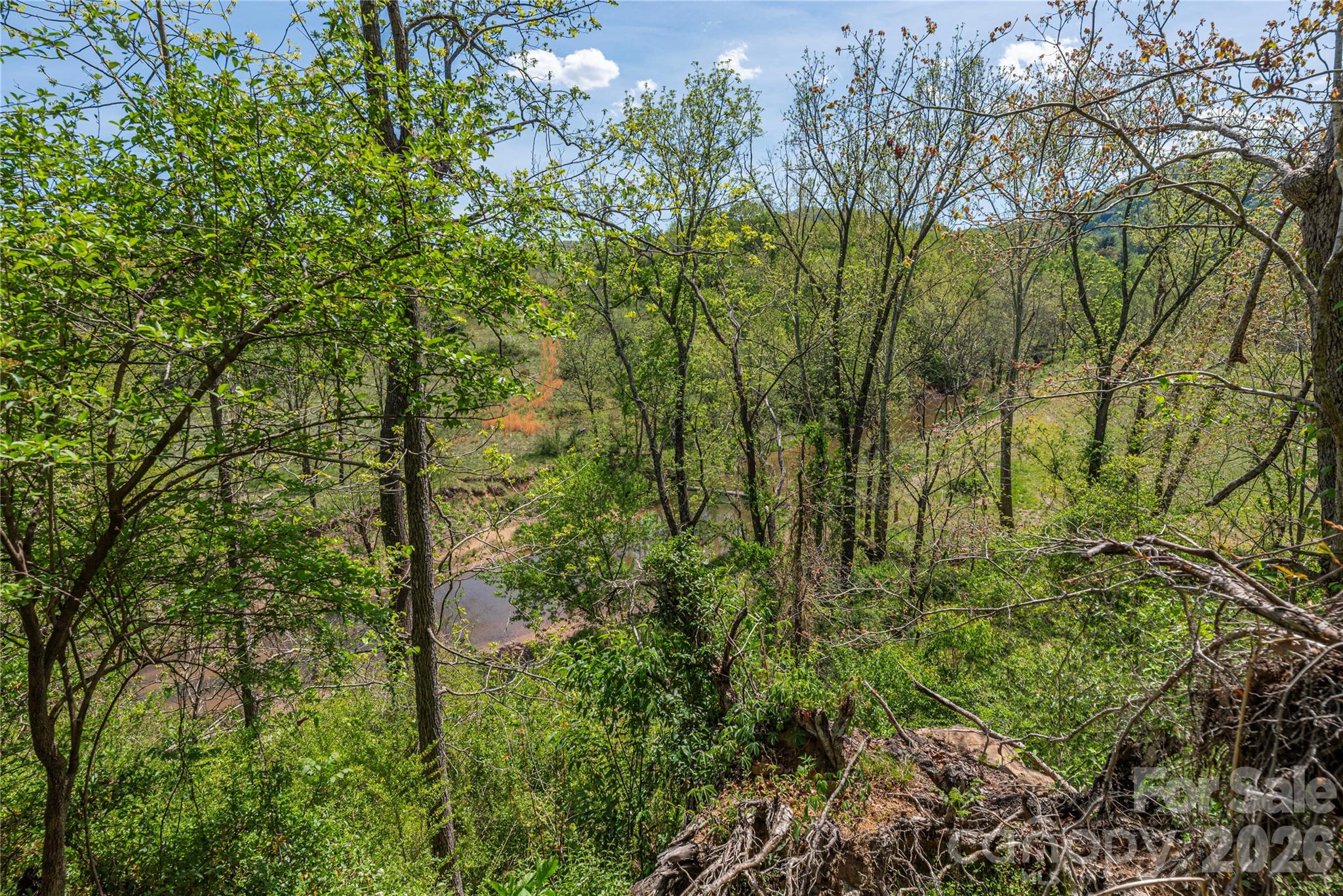 99999 Morse Drive Asheville NC 28806