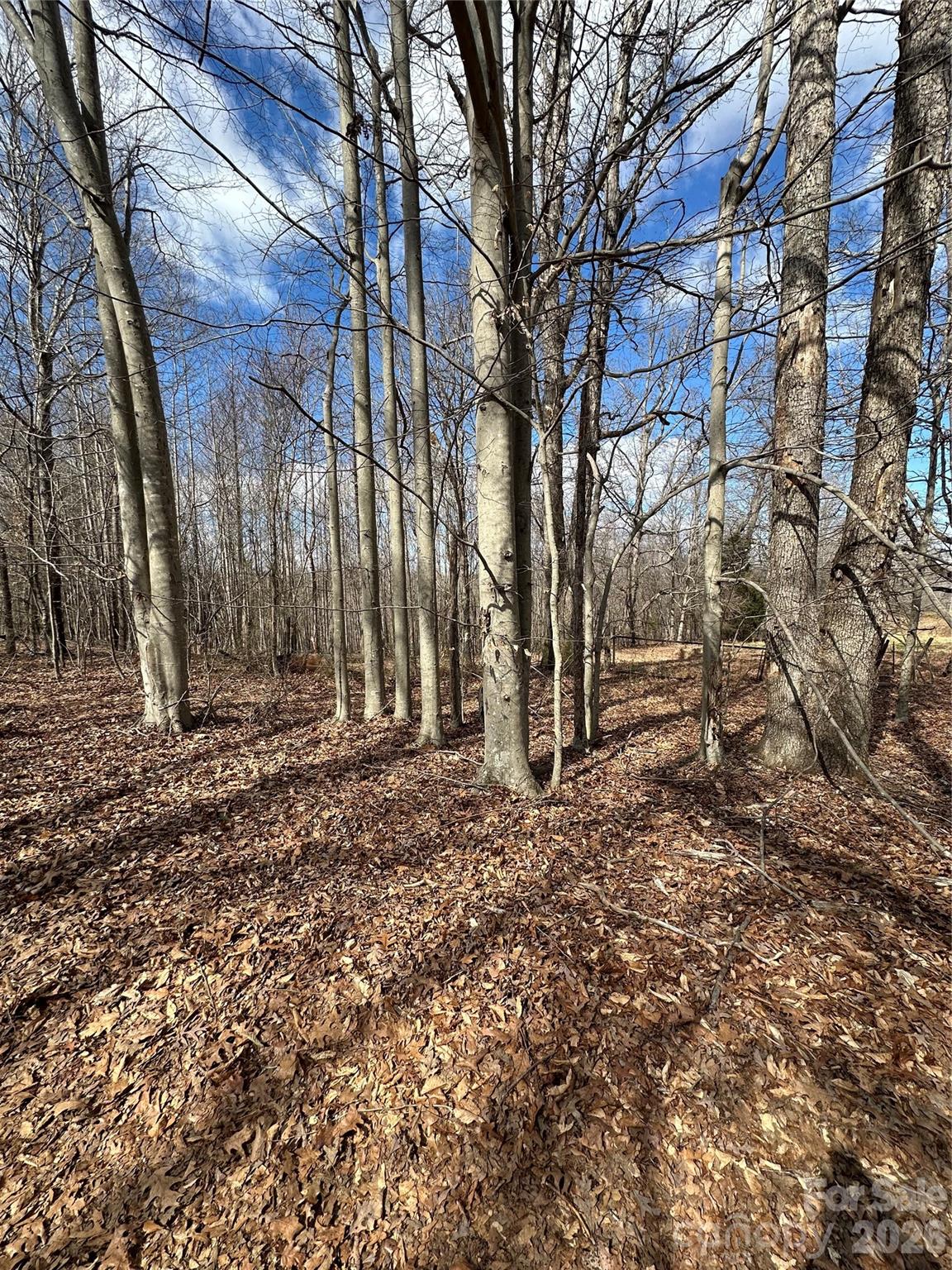 198 Long Leaf Pine Drive Hiddenite NC 28636