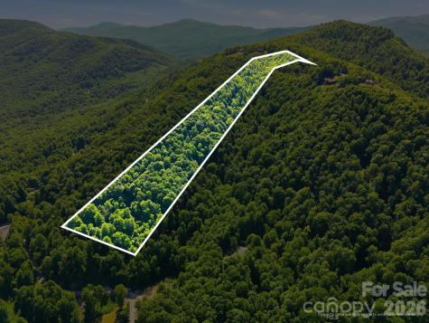 99999 Cliffledge Trail Black Mountain NC 28711