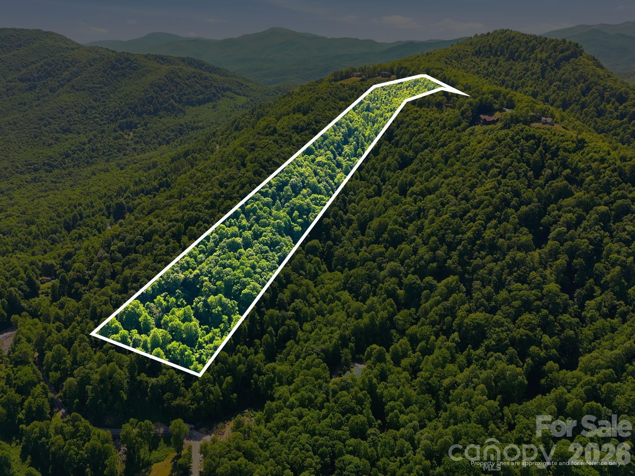 99999 Cliffledge Trail Black Mountain NC 28711