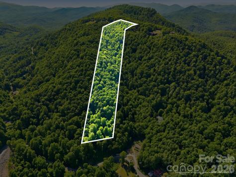 99999 Cliffledge Trail Black Mountain NC 28711