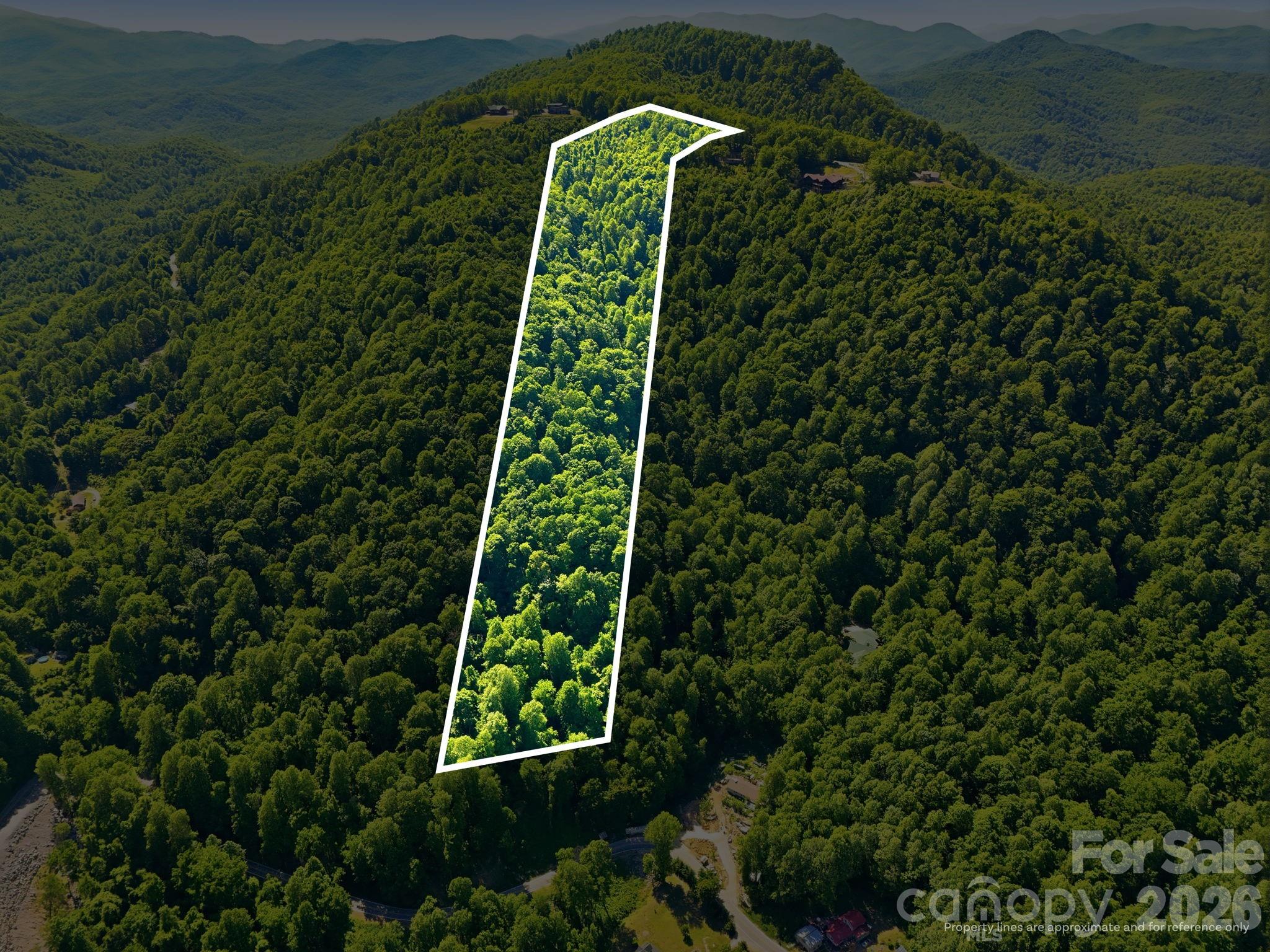 99999 Cliffledge Trail Black Mountain NC 28711