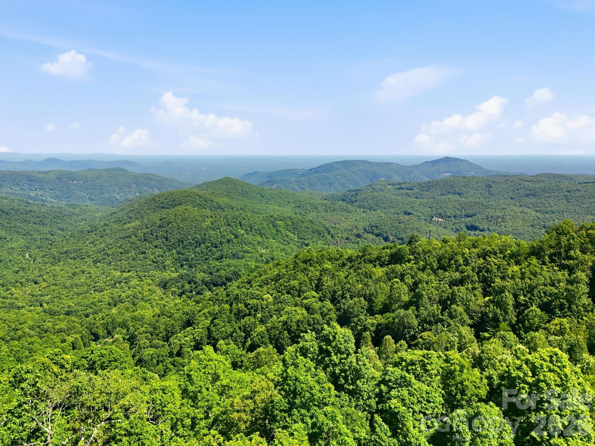 99999 Cliffledge Trail Black Mountain NC 28711