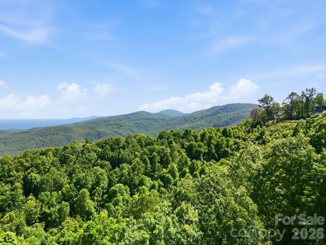 99999 Cliffledge Trail Black Mountain NC 28711