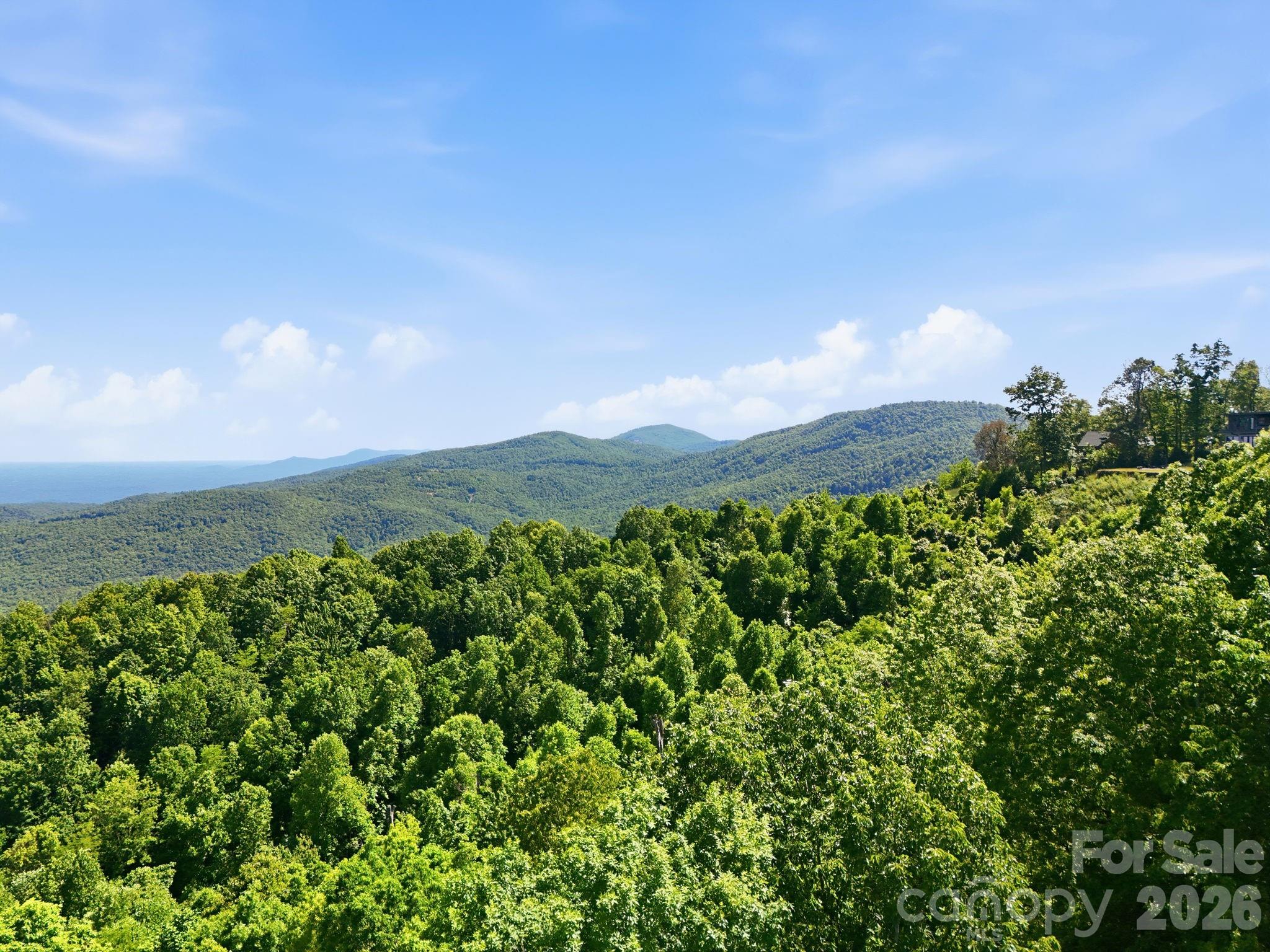 99999 Cliffledge Trail Black Mountain NC 28711