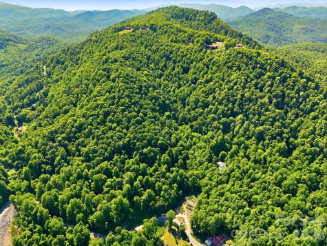 99999 Cliffledge Trail Black Mountain NC 28711