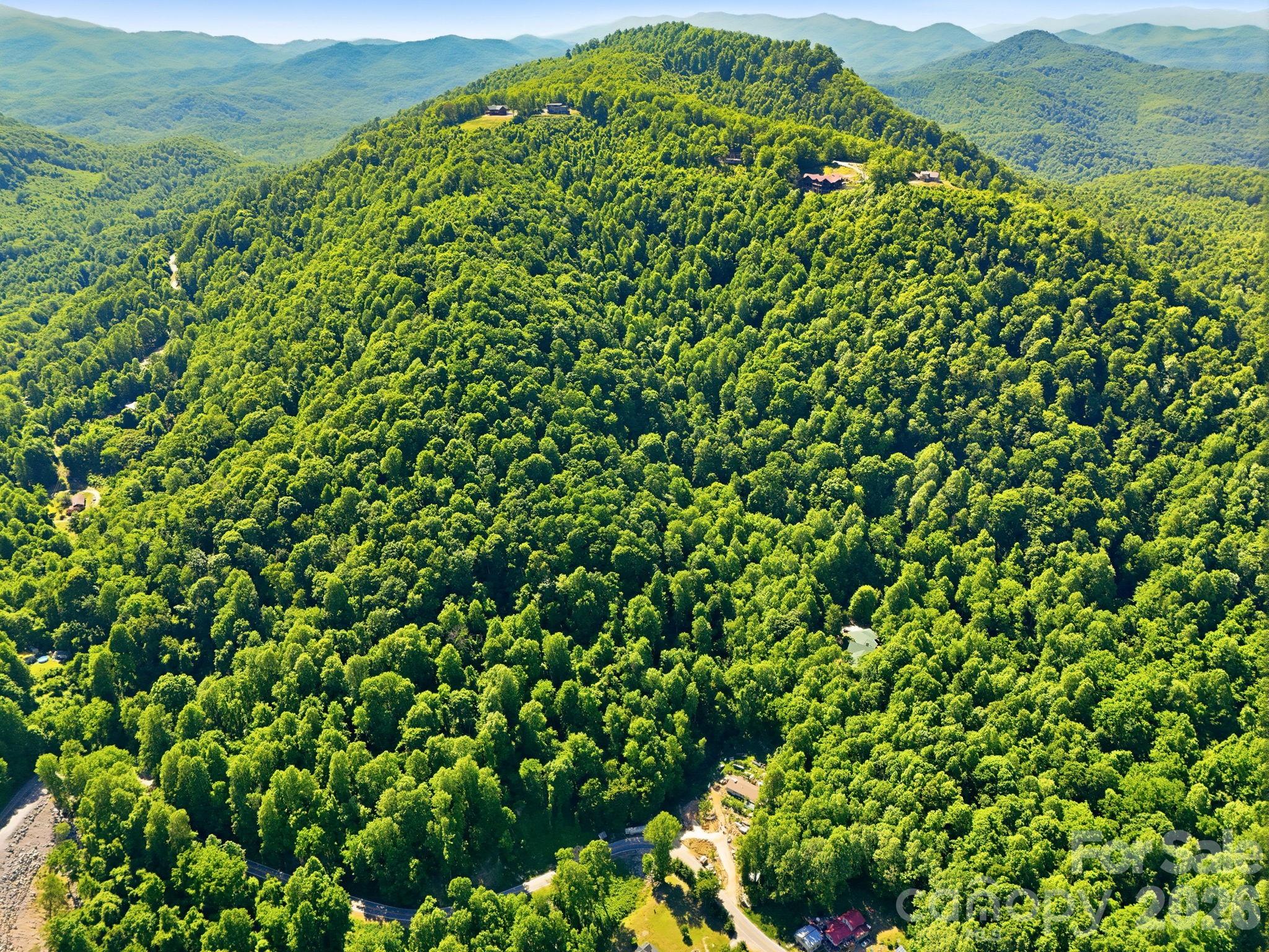 99999 Cliffledge Trail Black Mountain NC 28711