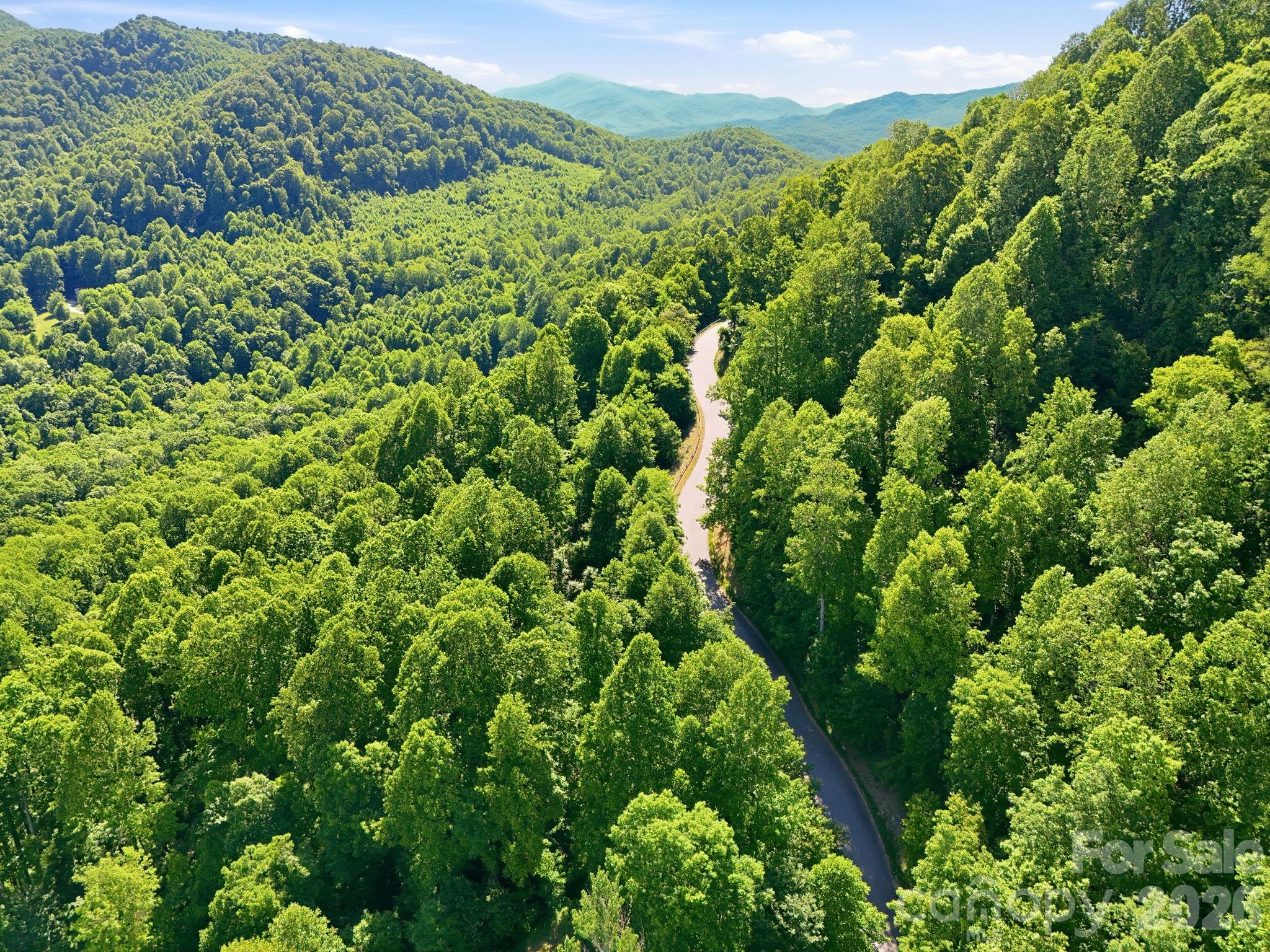 99999 Cliffledge Trail Black Mountain NC 28711