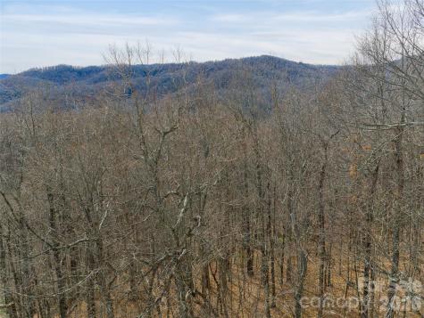 99999 Nc 9 Highway Black Mountain NC 28711