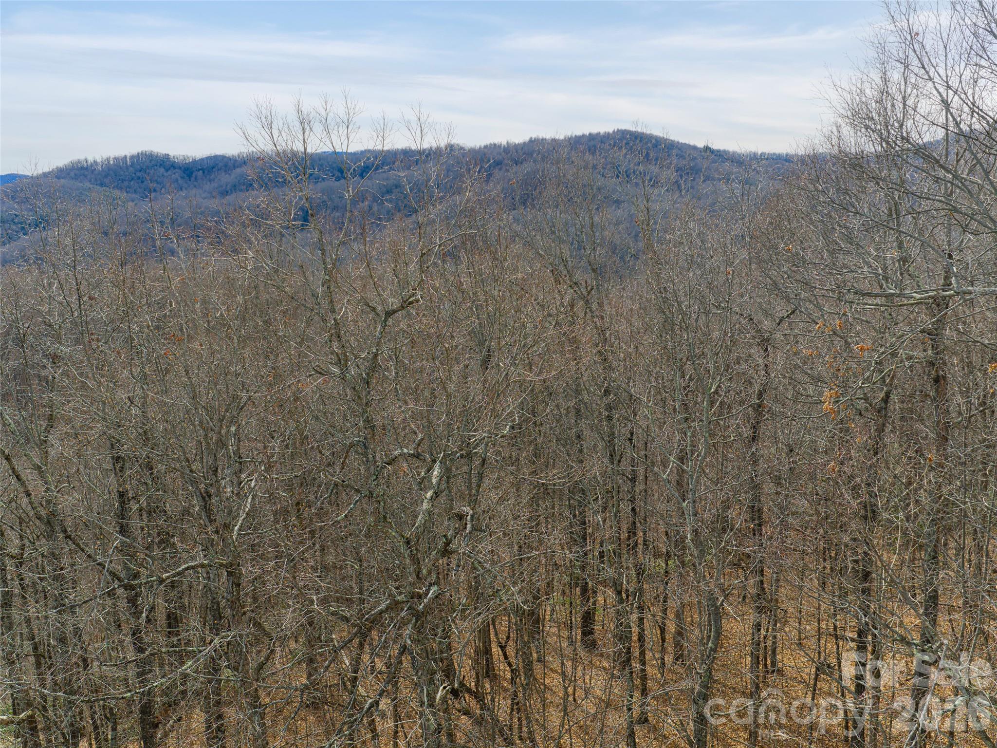 99999 Nc 9 Highway Black Mountain NC 28711