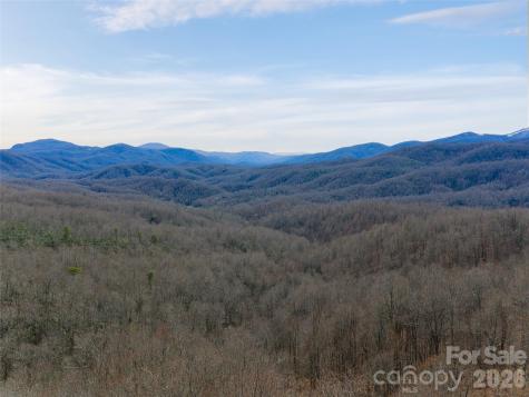 99999 Nc 9 Highway Black Mountain NC 28711