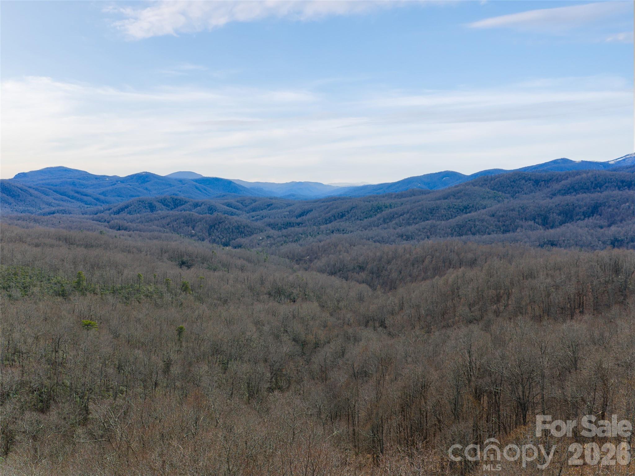 99999 Nc 9 Highway Black Mountain NC 28711