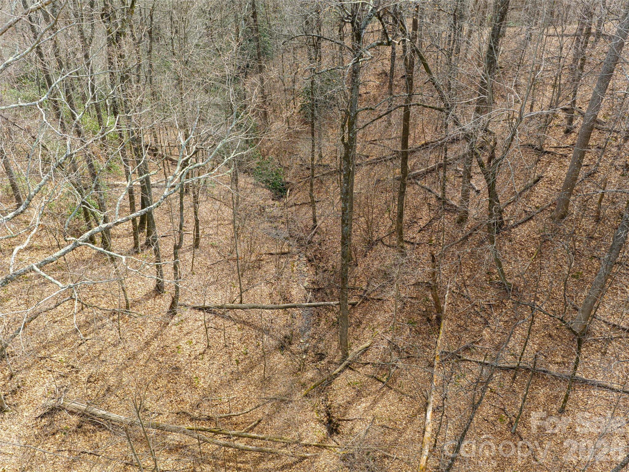 99999 Nc 9 Highway Black Mountain NC 28711