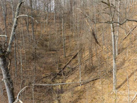 99999 Nc 9 Highway Black Mountain NC 28711