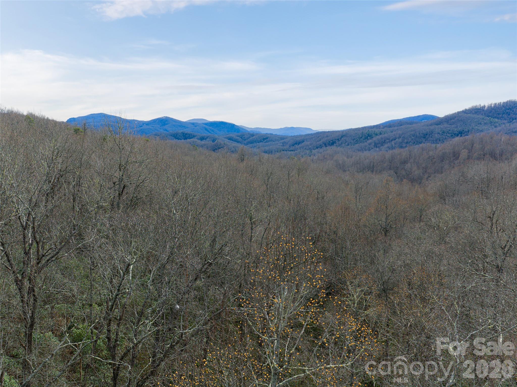 99999 Nc 9 Highway Black Mountain NC 28711
